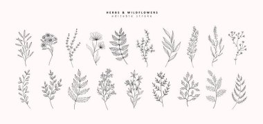 Çiçek dalı ve logo ya da dövme için minimalist çiçekler. El yapımı düğün otları, davetiye için zarif yapraklar. Randevu kartını sakla. Botanik kırsal trend yeşilliği