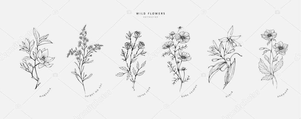 Trendy floral branch and minimalist flowers for logo or decorations. Hand drawn line wedding herb, elegant leaves for invitation save the date card. Botanical rustic trendy greenery