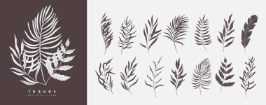 Silüet ve çizgi şeklinde palmiye dalları. Davetiye için elle çizilmiş zarif egzotik yapraklar tarih kartı tasarımını kaydet. Bitkisel trend yeşillik