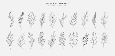 Çiçek dalı ve logo ya da dövme için minimalist çiçekler. El yapımı düğün otları, davetiye için zarif yapraklar. Randevu kartını sakla. Botanik kırsal trend yeşilliği