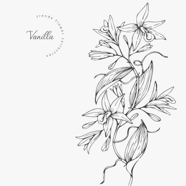 Logo ya da dekorasyon için moda düğün çiçekleri. El yapımı düğün dekorasyonu, davetiye için zarif yapraklar tarih kartını sakla. Botanik kırsal trend yeşilliği