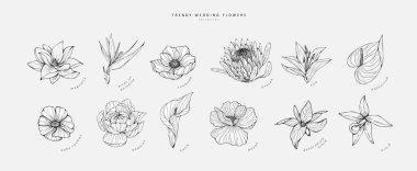 Logo ya da dekorasyon için moda çiçekler. El yapımı düğün dekorasyonu, davetiye için zarif yapraklar tarih kartını sakla. Botanik kırsal trend yeşilliği