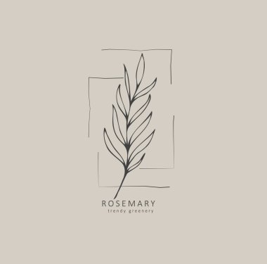 Minimum kadın çiçekli monogram ve logo. El yapımı düğün otları, zarif yapraklar. Botanik kırsal trend yeşillik vektörü