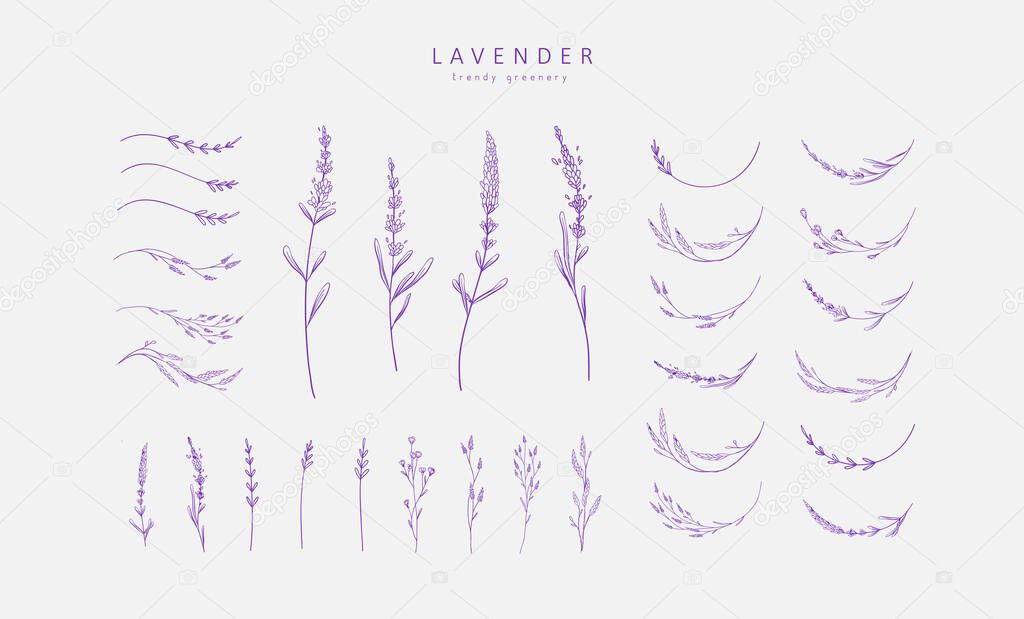 Set of Lavender logo elements and branch. Hand drawn wedding herb, plant and monogram with elegant leaves for invitation save the date card design. Botanical rustic