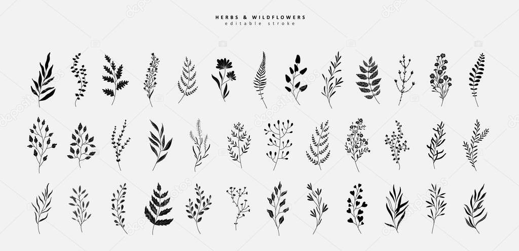 Floral branch and minimalist leaves for logo or tattoo. Hand drawn line wedding herb, elegant wildflowers for invitation save the date card. Botanical rustic trendy greenery vector