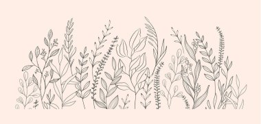 Lüks botanik arka planda moda yeşillik ve duvar dekorasyonu ya da düğün için minimalist çiçekler. El yapımı şifalı otlar, davetiye için zarif yapraklar. Randevu kartını sakla. Botanik kırsal trend yeşillik vektörü