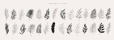 Çiçek dalı ve logo ya da dövme için minimalist yapraklar. El yapımı düğün otları, davetiye için zarif kır çiçekleri randevu kartınızı saklayın. Botanik kırsal trend yeşillik vektörü