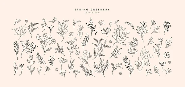 花の枝やロゴやタトゥーのためのミニマリストの葉 手描きのライン結婚式のハーブ 招待状のためのエレガントな野草は 日付カードを保存します 植物の素朴な流行の緑のベクトル — ストックベクタ