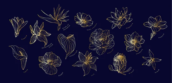 Zestaw Modnych Złotych Kwiatów Ślubnych Logo Lub Dekoracji Ręcznie Rysowana — Wektor stockowy
