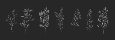 Tebeşir çiçeği dalı ve tahtadaki logo için minimalist çiçekler. El yapımı düğün otları, davetiye için zarif yapraklar. Botanik kırsal trend yeşillik vektörü