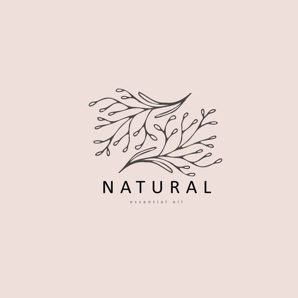Minimal Feminine Floral Monogram Logo Hand Drawn Wedding Herb Elegant — Stock Vector
