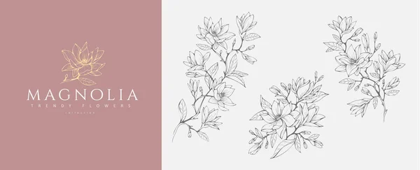 Magnolia Kwiat Logo Zestaw Gałęzi Ręcznie Narysowana Linia Zioło Ślubne — Wektor stockowy