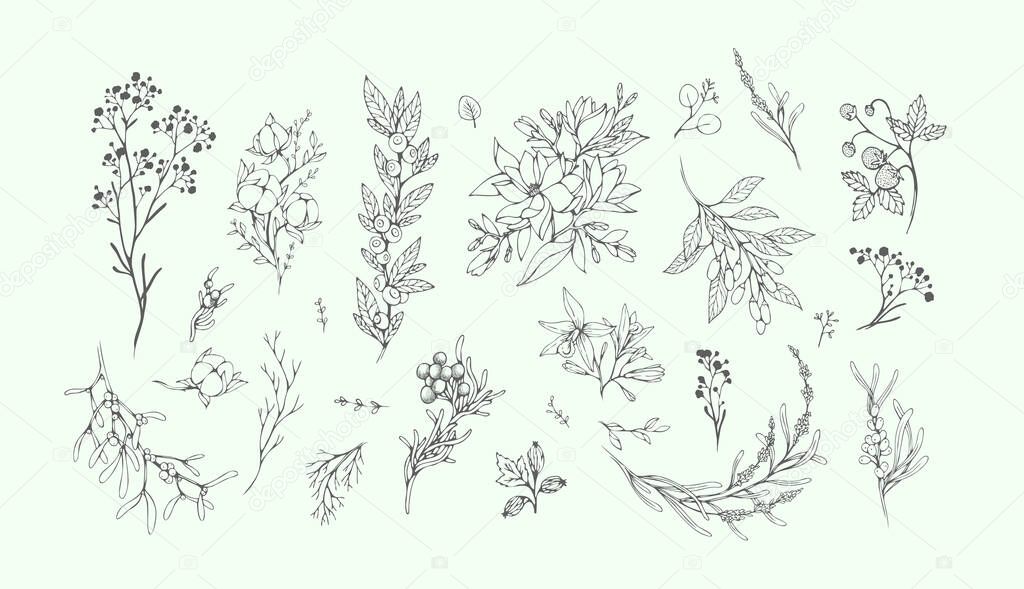 Floral branch and minimalist leaves for logo or tattoo. Hand drawn line wedding herb, elegant wildflowers for invitation save the date card. Botanical rustic trendy greenery vector