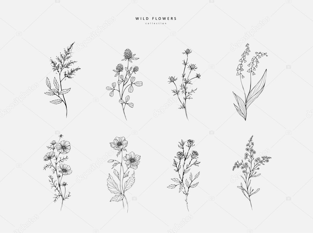 Set of trendy wildflowers and minimalist flowers for logo or decorations. Hand drawn line wedding herb, elegant leaves for invitation save the date card. Botanical rustic trendy greenery vector