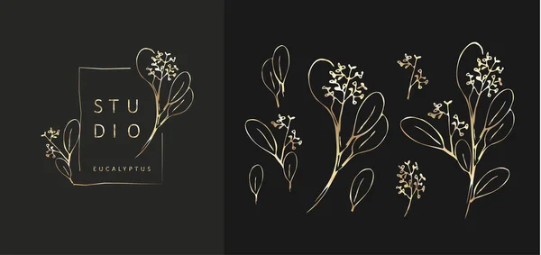 野生のフェミニンな植物の花の枝とロゴのセット。手描きの結婚式のハーブ、エレガントな葉を持つ植物。植物の素朴な流行の緑のベクトル — ストックベクタ
