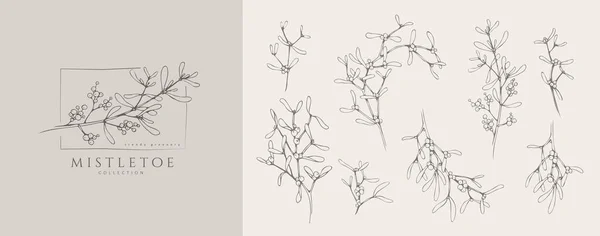 Mistletoe Квітковий Логотип Набір Гілок Рука Намальована Лінія Зимової Рослини — стоковий вектор