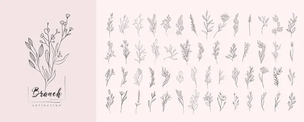Цветочная Ветвь Минималистские Цветы Логотипа Татуировки Ручная Линия Свадебной Травы — стоковый вектор