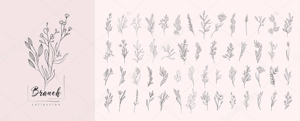 Floral branch and minimalist flowers for logo or tattoo. Hand drawn line wedding herb, elegant leaves for invitation save the date card. Botanical rustic trendy greenery vector