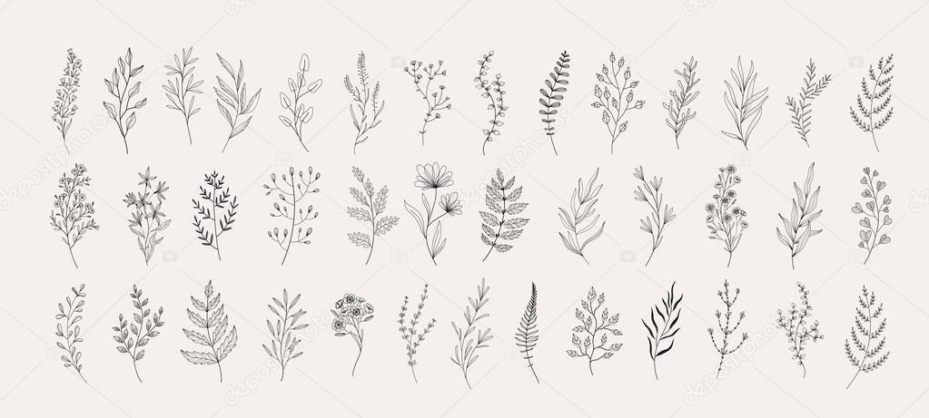 Floral branch and minimalist leaves for logo or tattoo. Hand drawn line wedding herb, elegant wildflowers. Minimal line art drawing for print, cover or wallpaper