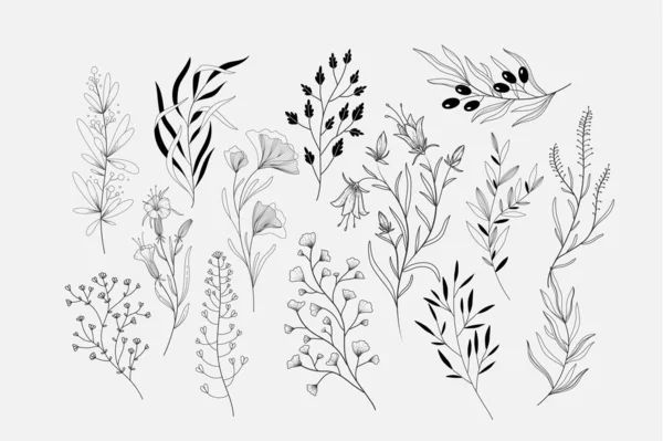 花の枝やロゴやタトゥーのためのミニマリストの葉 手線の結婚式のハーブ エレガントな野の花を描いた カバーまたは壁紙のための最小限の線画 — ストックベクタ