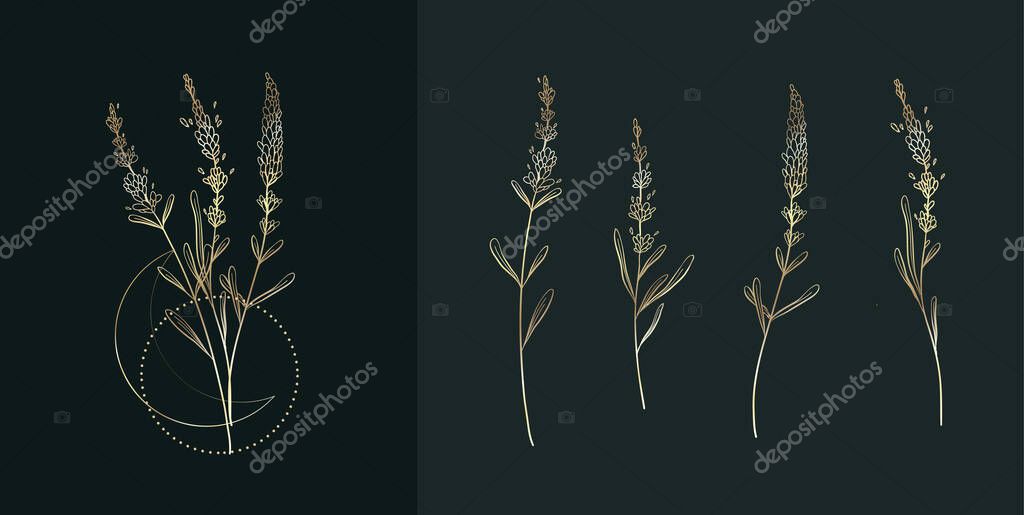 Golden lavender logo and branch in line style. Hand drawn wedding herb, plant and monogram with elegant leaves for invitation save the date card design. Botanical rustic trendy greenery