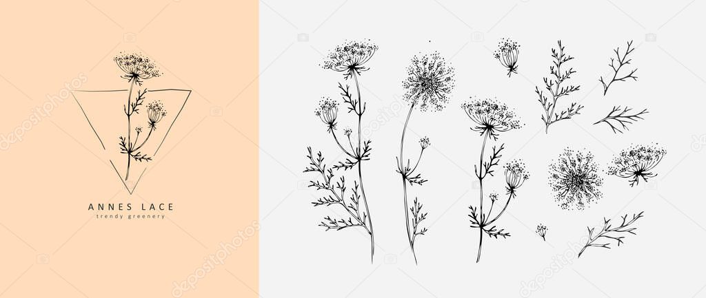 Set of annes lace flowers and logo. Trendy botanical elements. Hand drawn line leaves branches and blooming. Wedding elegant wildflowers for invitation save the date card. Vector trendy greenery