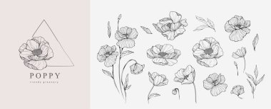 Lüks gelincik çiçekleri ve logo seti. Son moda botanik elementler. El çizimi dallar ve çiçek açar. Davetiye için zarif kır çiçekleri. Randevu kartını sakla. Vektör eğilimli yeşillik