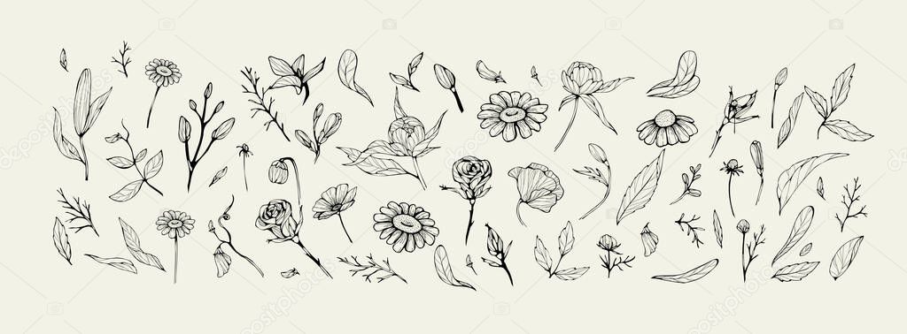Set of trendy wildflowers and minimalist flowers for logo or decorations. Hand drawn line wedding herb, elegant leaves for invitation save the date card. Botanical rustic trendy greenery vector