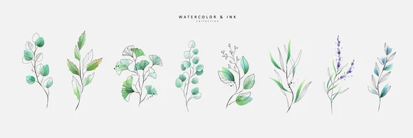 水彩とインクスタイルの豪華な緑の葉や花の要素のセット 帯状疱疹と線の枝と開花 招待状 グリーティングカード 日付を保存するための白い背景に隔離されたベクトル — ストックベクタ