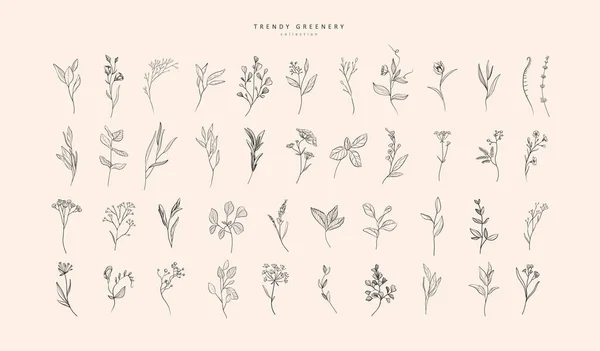 Set Luxury Flowers Trendy Botanical Elements Hand Drawn Line Leaves — ストックベクタ