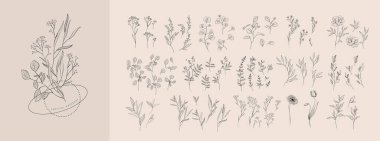 Lüks çiçekler ve modaya uygun botanik elementler. El çizimi dallar ve çiçek açar. Davetiye için zarif kır çiçekleri. Randevu kartını sakla. Vektör eğilimli yeşillik