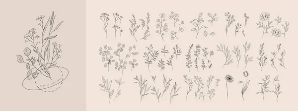 Set Luxury Flowers Trendy Botanical Elements Hand Drawn Line Leaves — Vetor de Stock