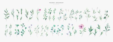 Sulu yeşil yapraklar ve çiçek unsurları suluboya stilinde. Aquarelle 'in moda yeşillik dalları ve çiçek açıyor. Davet ve tebrik kartı için beyaz arkaplanda vektör izole edildi, tarihi kaydet.