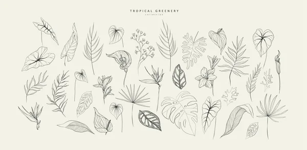 Набір Квіткових Тропічних Гілок Пальми Листя Силуеті Стилі Лінії Рука — стоковий вектор