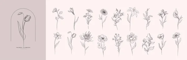 Set Wild Flowers Leaves Trendy Botanical Elements Hand Drawn Line — Vetor de Stock