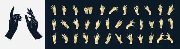 Set Golden Female Beauty Hands Silhouette Editable Outline Stroke Size - Stok Vektor