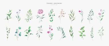 Sulu yeşil yapraklar ve çiçek unsurları suluboya stilinde. Aquarelle 'in moda yeşillik dalları ve çiçek açıyor. Davet ve tebrik kartı için beyaz arkaplanda vektör izole edildi, tarihi kaydet.