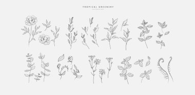 Lüks çiçekler ve modaya uygun botanik elementler. El çizimi dallar ve çiçek açar. Davetiye için zarif kır çiçekleri. Randevu kartını sakla. Vektör eğilimli yeşillik