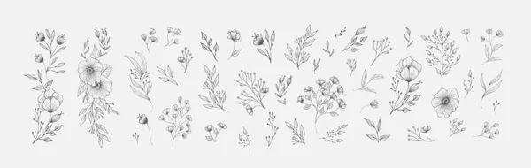 Набір Квіткових Композицій Рамок Ботанічне Розташування Листя Гілок Квітучих Квітів — стоковий вектор