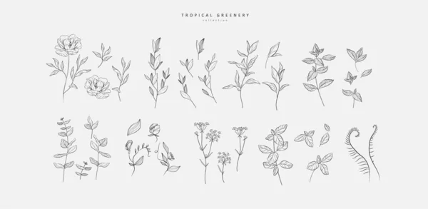 Set Luxury Flowers Trendy Botanical Elements Hand Drawn Line Leaves — Stockvector