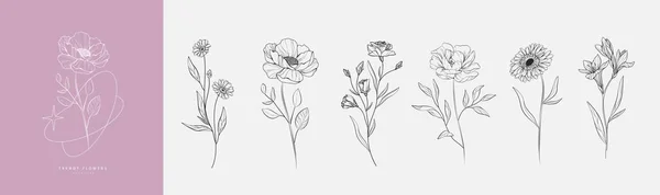 Набор Диких Цветов Листьев Модные Ботанические Элементы Ручная Линия Ветки — стоковый вектор