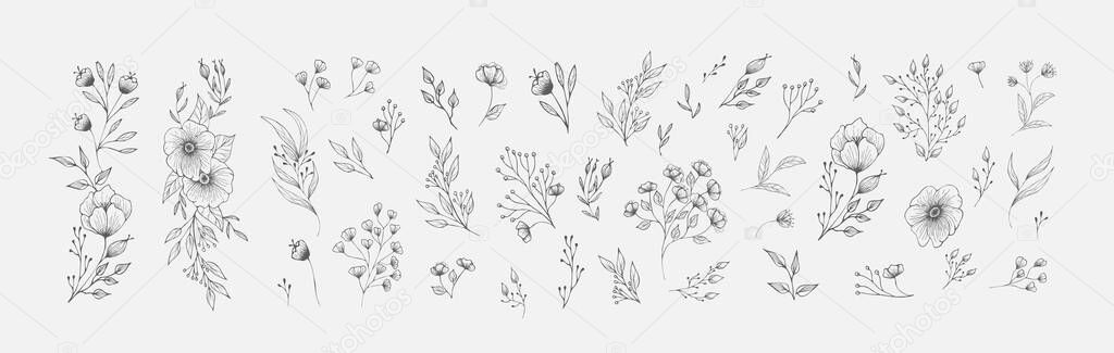 Set of floral compositions of frames. Botanical arrangement of leaves branches and blooming flowers. Vector ornamental herbs in boutonniere and bouquet. Wedding design elements.