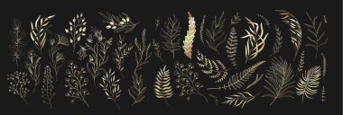 Set of floral branches and leaves. Botanical blooming. Vector ornamental herbs for logo or tattoo. Hand drawn line wedding herb, elegant wildflowers. Wedding design elements.