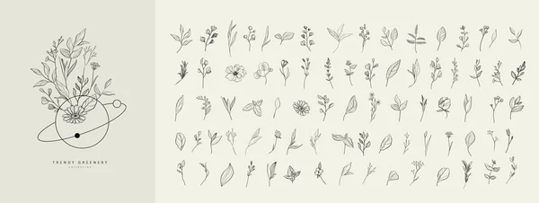 Set Luxury Flowers Trendy Botanical Elements Hand Drawn Line Leaves — Stockvector