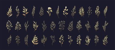 Set of floral branches and leaves. Botanical blooming. Vector ornamental herbs for logo or tattoo. Hand drawn line wedding herb, elegant wildflowers. Wedding design elements.