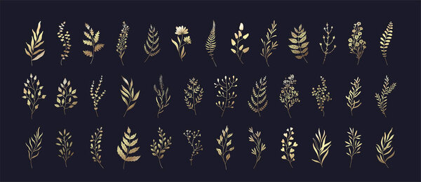 Set of floral branches and leaves. Botanical blooming. Vector ornamental herbs for logo or tattoo. Hand drawn line wedding herb, elegant wildflowers. Wedding design elements.