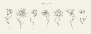 Yaban çiçekleri ve yapraklar. Son moda botanik elementler. El çizgisi dalları ve çiçek açıyor. Davetiye için zarif kır çiçekleri. Randevu kartını sakla. Vektör eğilimli yeşillik