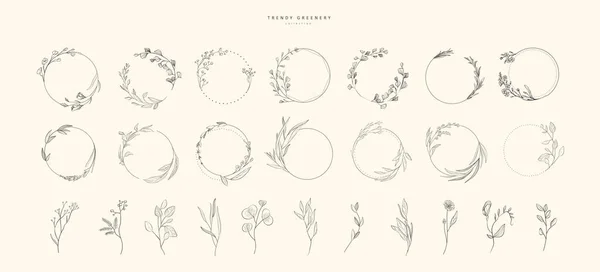 Set Floral Design Elements Wreath Borders Branch Minimalist Flowers Hand — Stockvektor