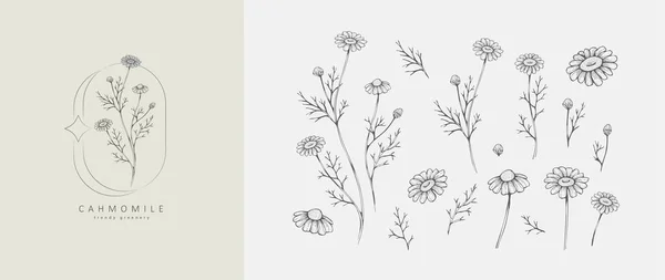 Zestaw Luksusowych Kwiatów Logo Modne Elementy Botaniczne Ręcznie Narysowana Linia — Wektor stockowy