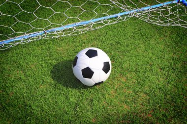 yeşil çim futbol topu